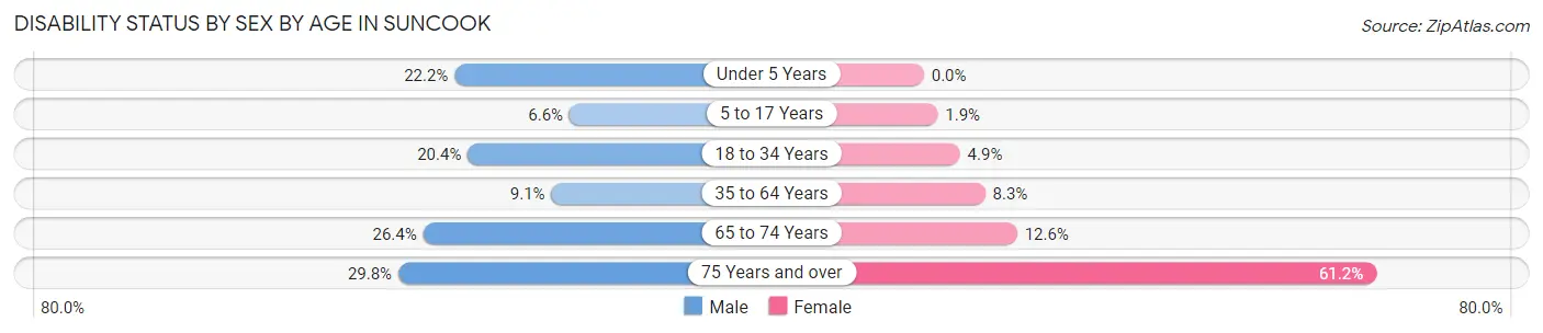 Disability Status by Sex by Age in Suncook