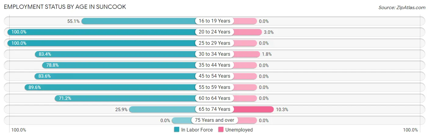 Employment Status by Age in Suncook
