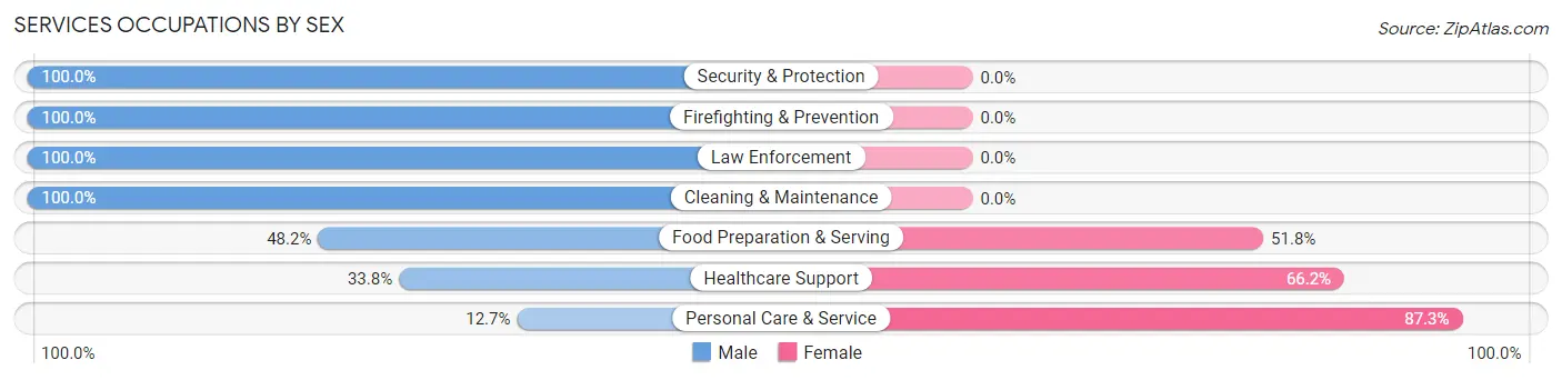 Services Occupations by Sex in Suncook