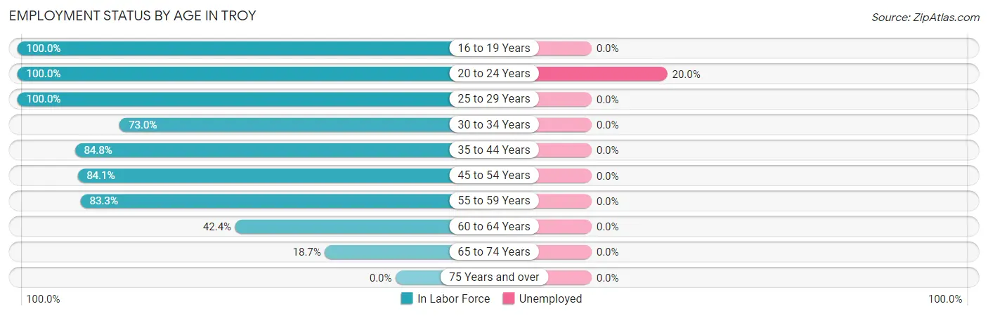 Employment Status by Age in Troy