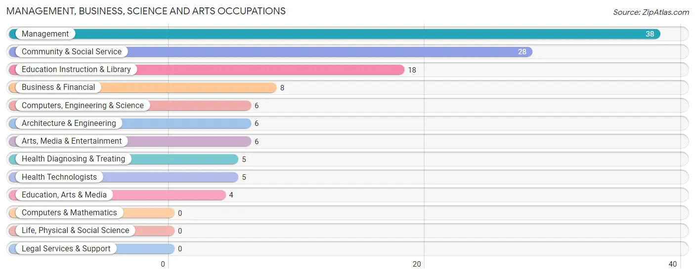 Management, Business, Science and Arts Occupations in Warner