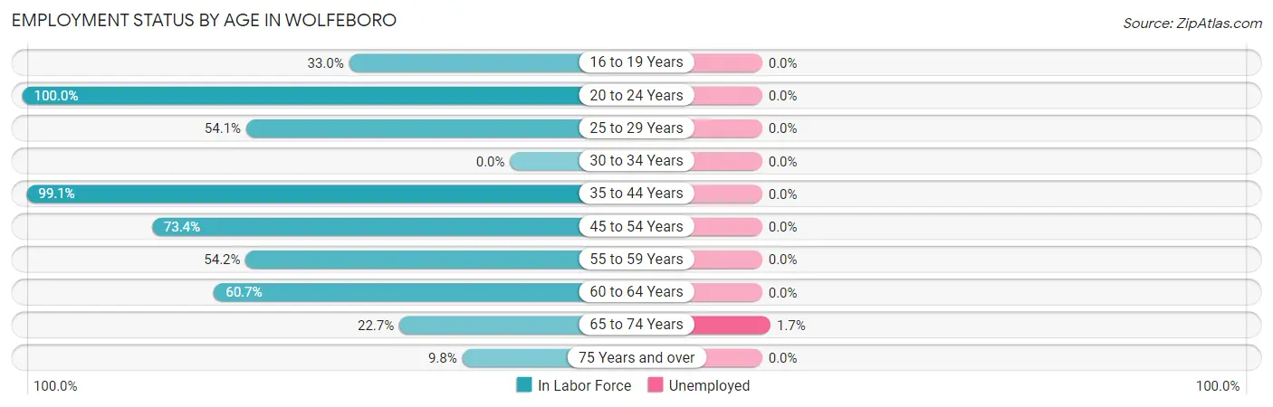 Employment Status by Age in Wolfeboro