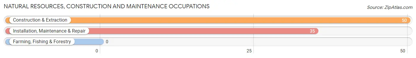 Natural Resources, Construction and Maintenance Occupations in Absecon Highlands