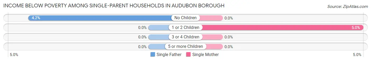 Income Below Poverty Among Single-Parent Households in Audubon borough