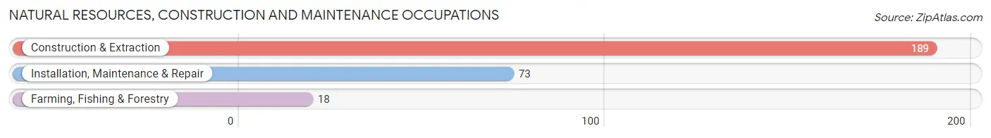 Natural Resources, Construction and Maintenance Occupations in Audubon borough