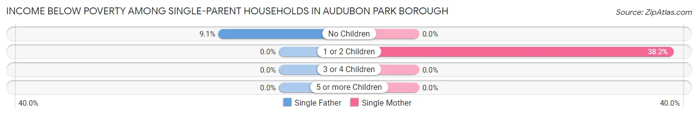 Income Below Poverty Among Single-Parent Households in Audubon Park borough