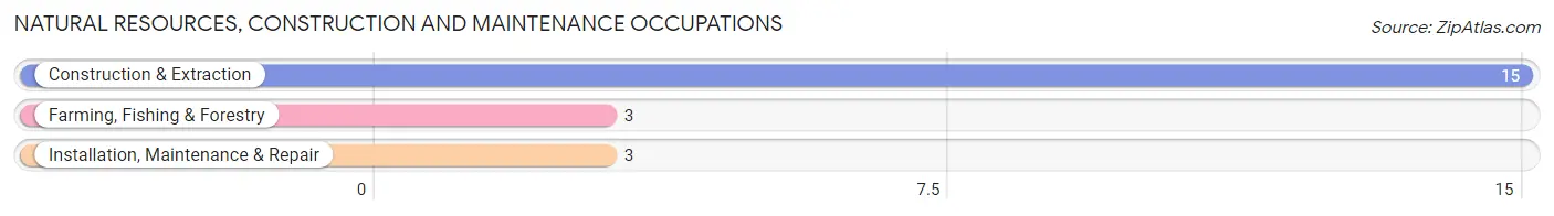 Natural Resources, Construction and Maintenance Occupations in Avalon borough