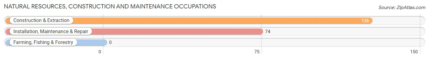 Natural Resources, Construction and Maintenance Occupations in Bargaintown