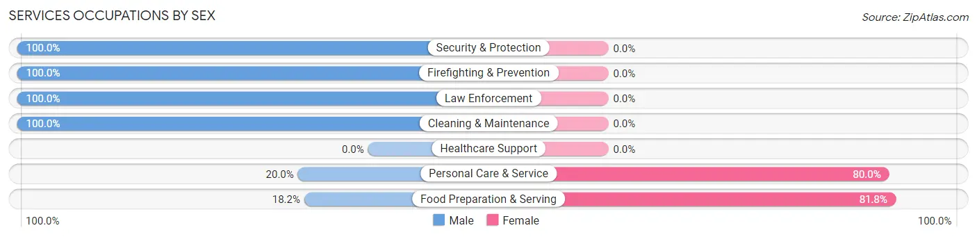 Services Occupations by Sex in Bay Head borough