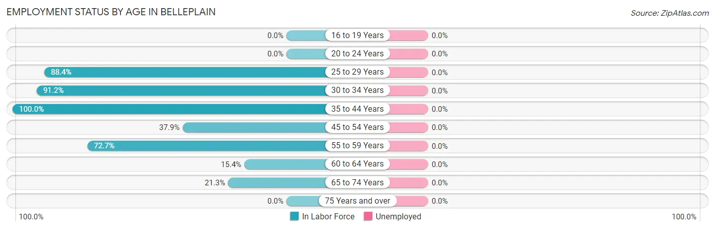 Employment Status by Age in Belleplain