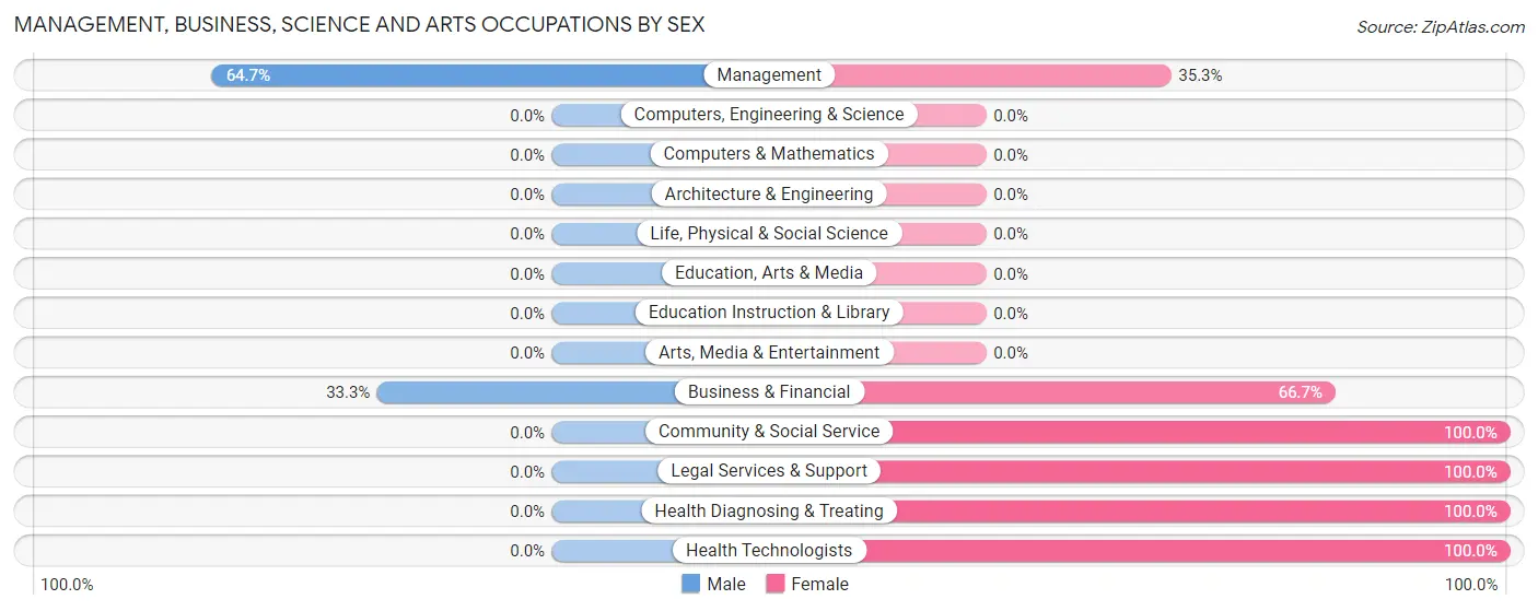 Management, Business, Science and Arts Occupations by Sex in Belleplain