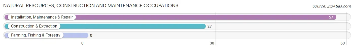 Natural Resources, Construction and Maintenance Occupations in Blackwells Mills