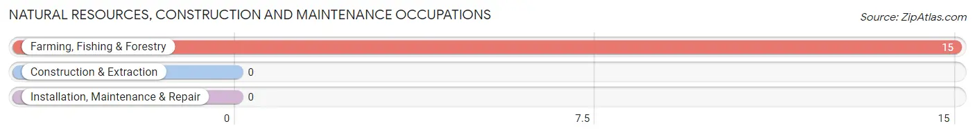 Natural Resources, Construction and Maintenance Occupations in Blairstown