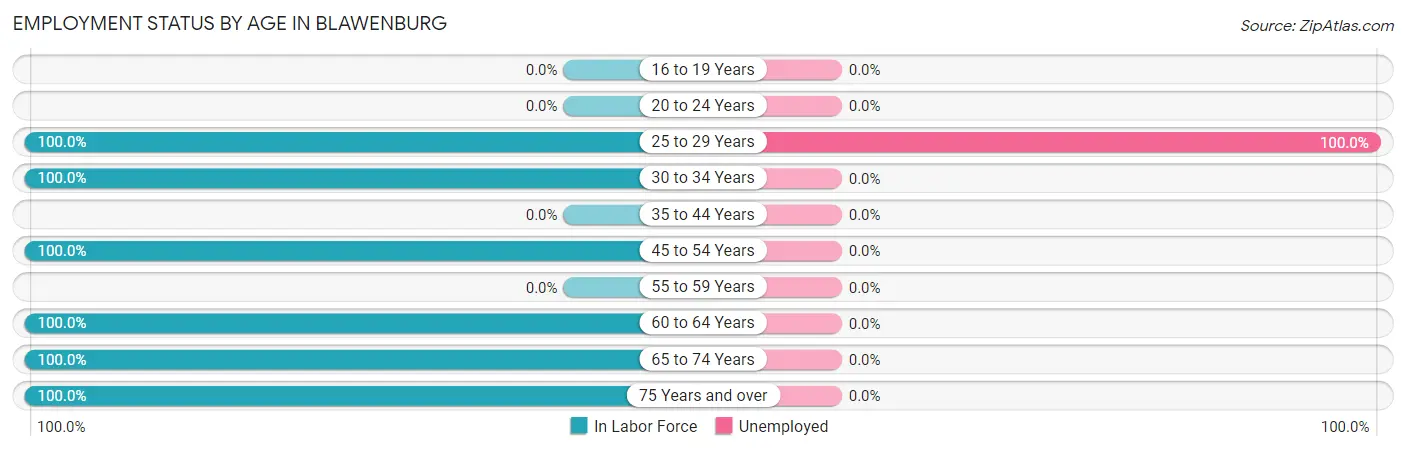 Employment Status by Age in Blawenburg