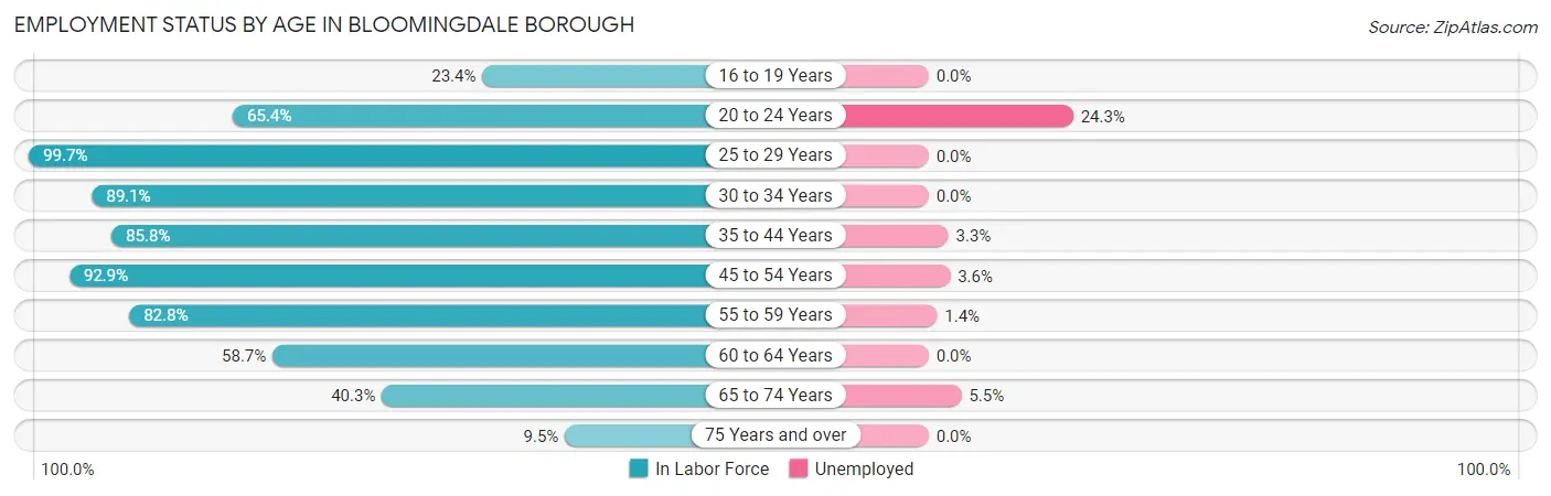 Employment Status by Age in Bloomingdale borough
