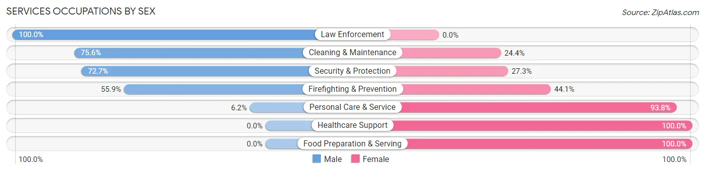 Services Occupations by Sex in Bloomingdale borough