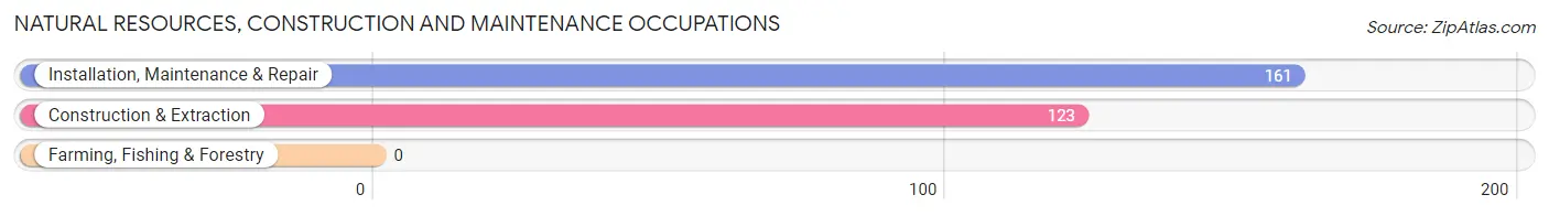 Natural Resources, Construction and Maintenance Occupations in Bogota borough