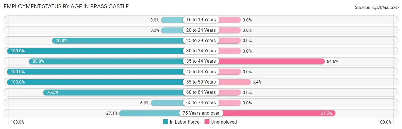 Employment Status by Age in Brass Castle