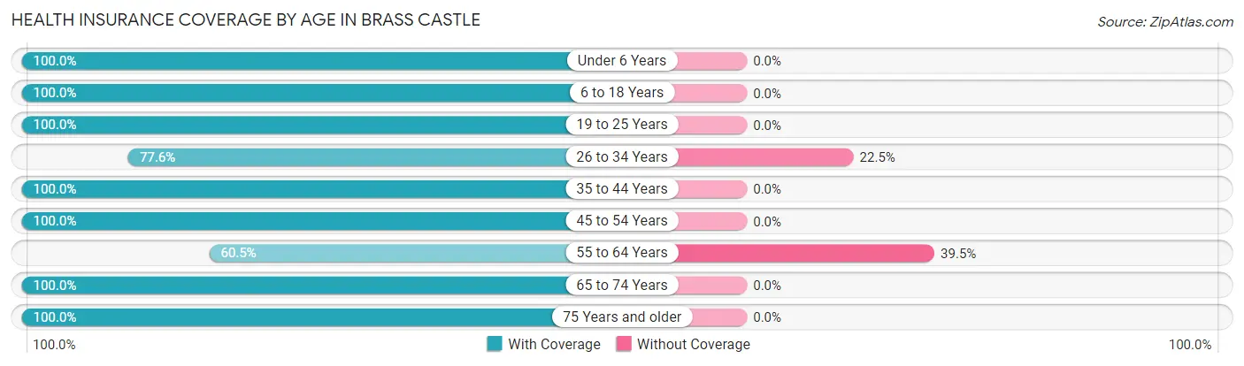 Health Insurance Coverage by Age in Brass Castle