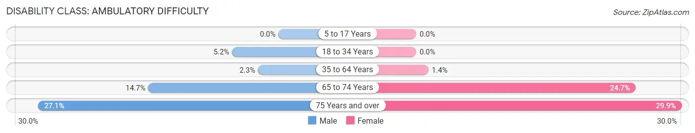 Disability in Bridgewater Center: <span>Ambulatory Difficulty</span>