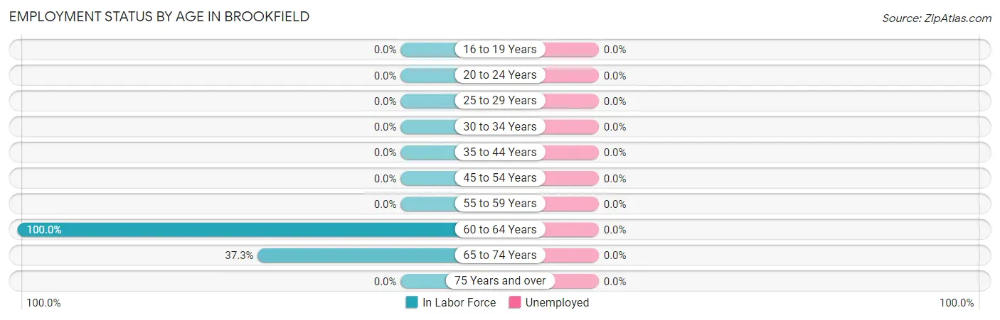 Employment Status by Age in Brookfield