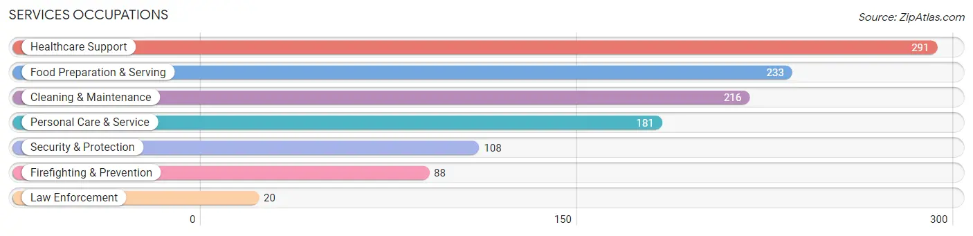 Services Occupations in Browns Mills