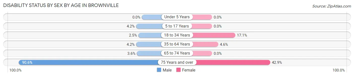 Disability Status by Sex by Age in Brownville
