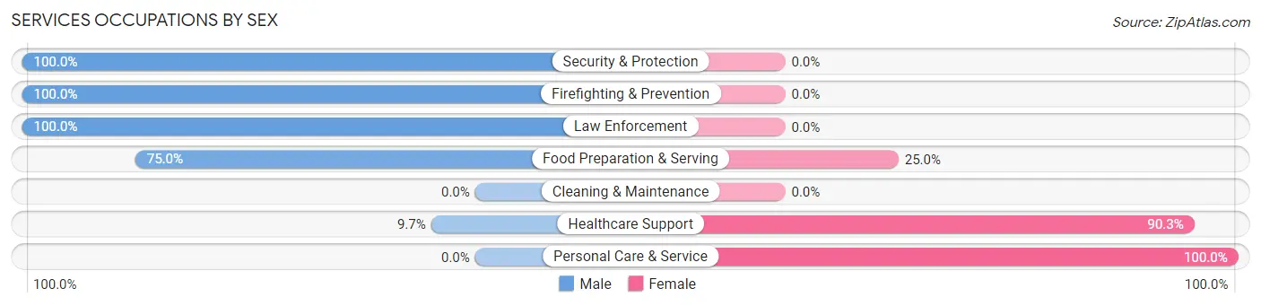 Services Occupations by Sex in Brownville