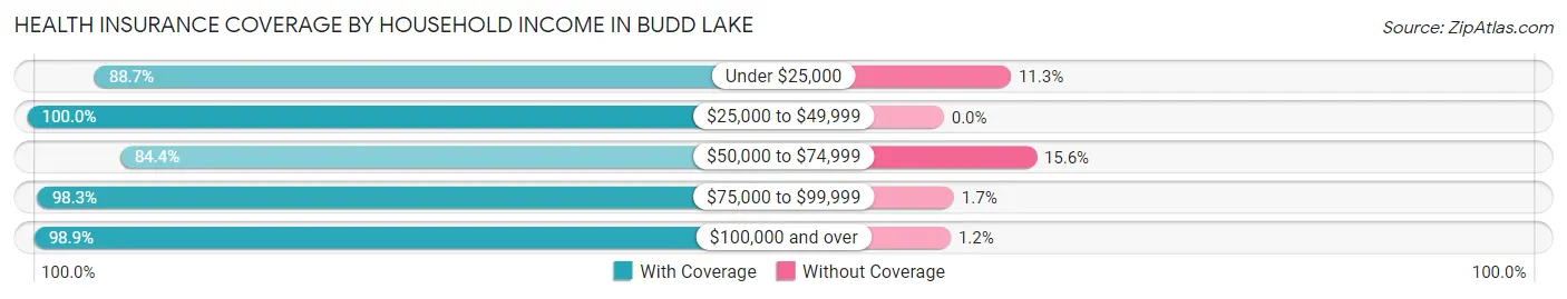Health Insurance Coverage by Household Income in Budd Lake