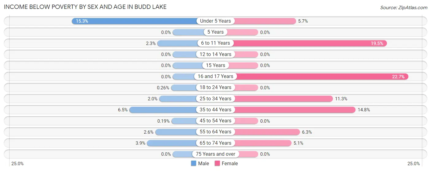 Income Below Poverty by Sex and Age in Budd Lake