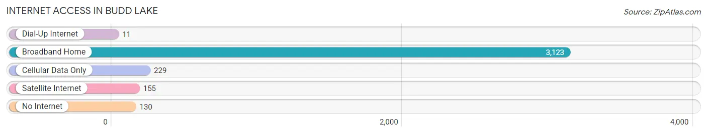 Internet Access in Budd Lake