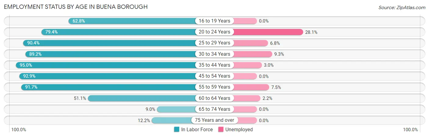Employment Status by Age in Buena borough