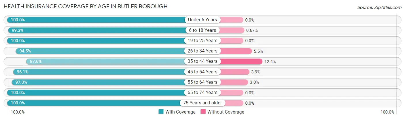 Health Insurance Coverage by Age in Butler borough