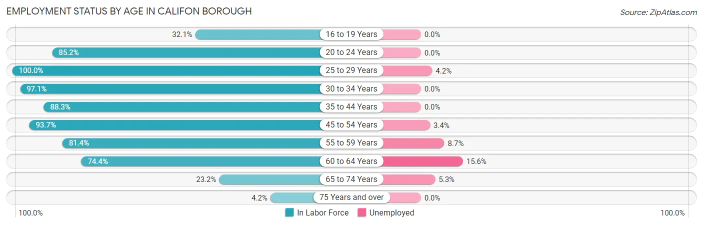 Employment Status by Age in Califon borough