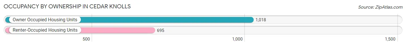 Occupancy by Ownership in Cedar Knolls