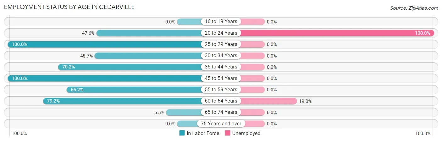Employment Status by Age in Cedarville