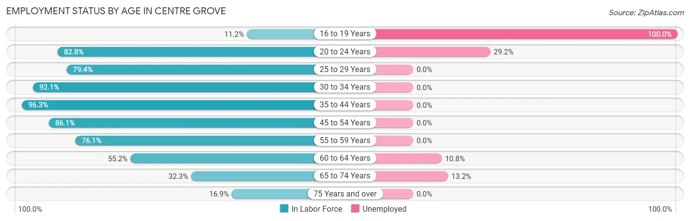Employment Status by Age in Centre Grove