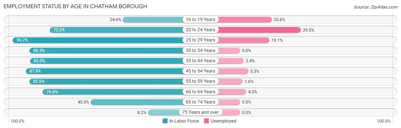 Employment Status by Age in Chatham borough