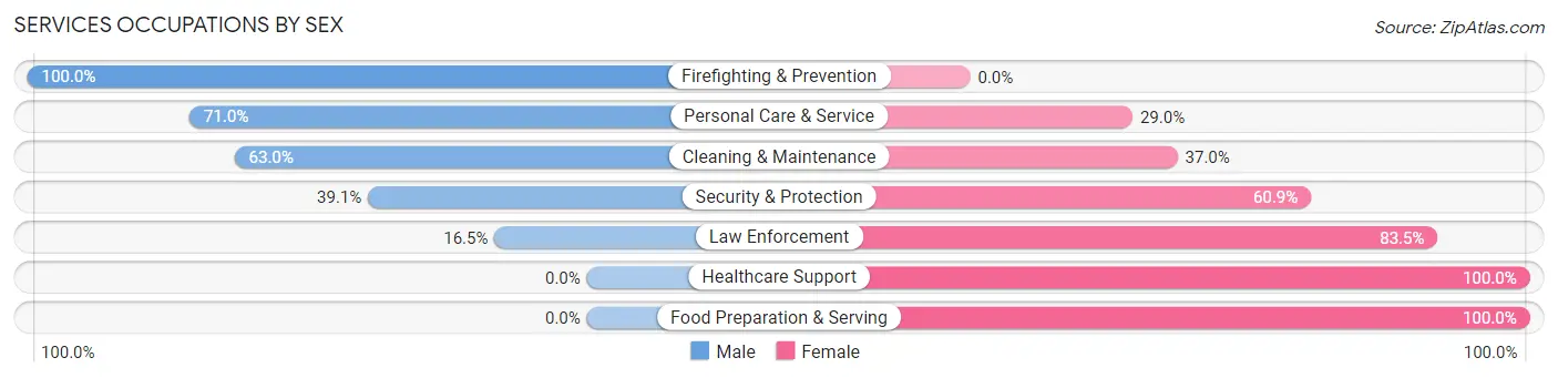Services Occupations by Sex in Clementon borough