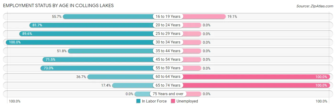 Employment Status by Age in Collings Lakes