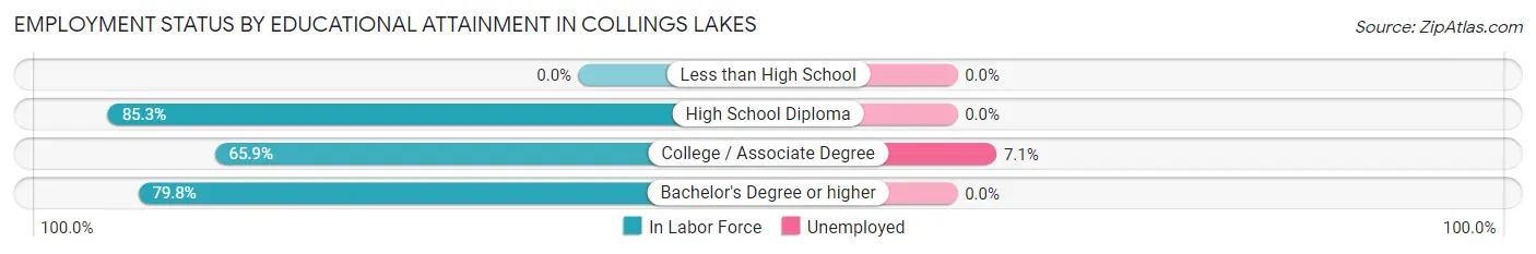 Employment Status by Educational Attainment in Collings Lakes