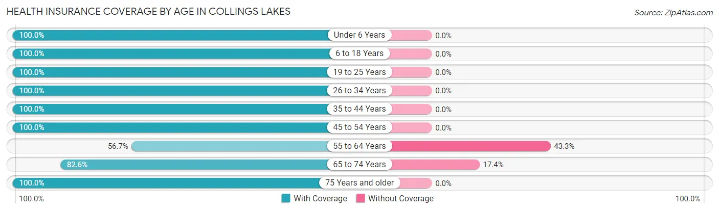 Health Insurance Coverage by Age in Collings Lakes