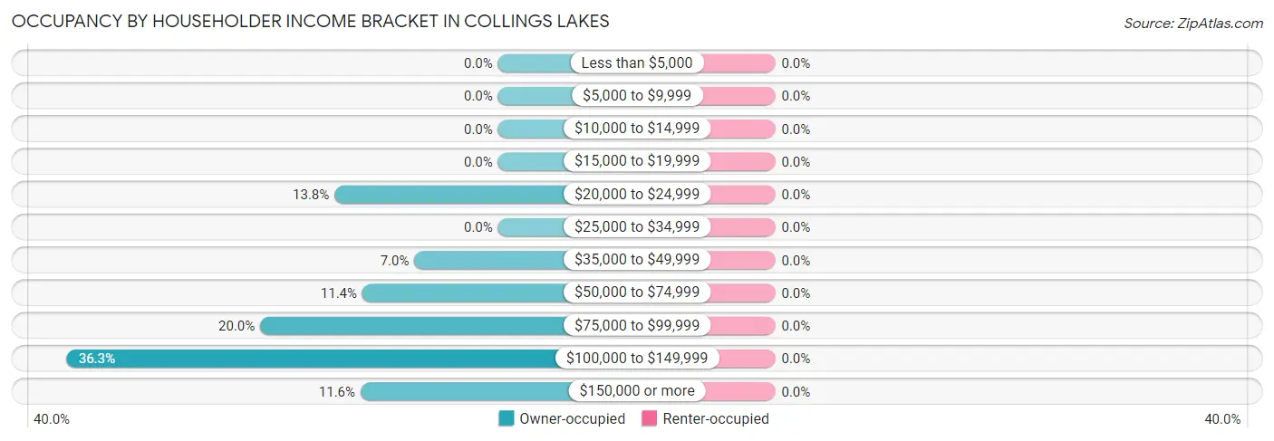 Occupancy by Householder Income Bracket in Collings Lakes