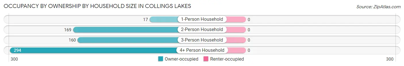 Occupancy by Ownership by Household Size in Collings Lakes