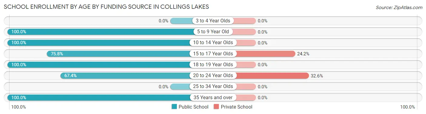 School Enrollment by Age by Funding Source in Collings Lakes