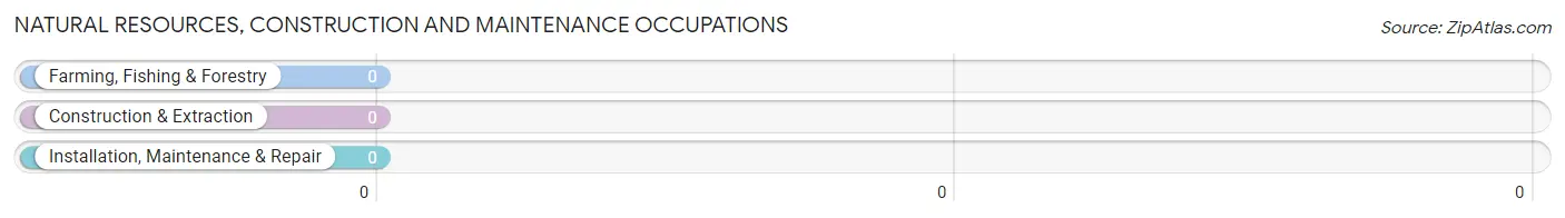 Natural Resources, Construction and Maintenance Occupations in Connecticut Farms