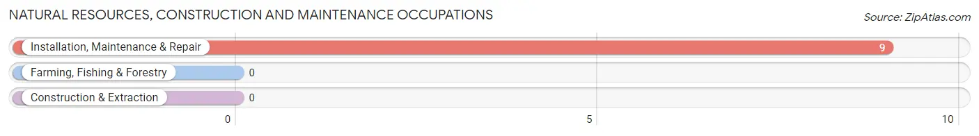 Natural Resources, Construction and Maintenance Occupations in Cranford