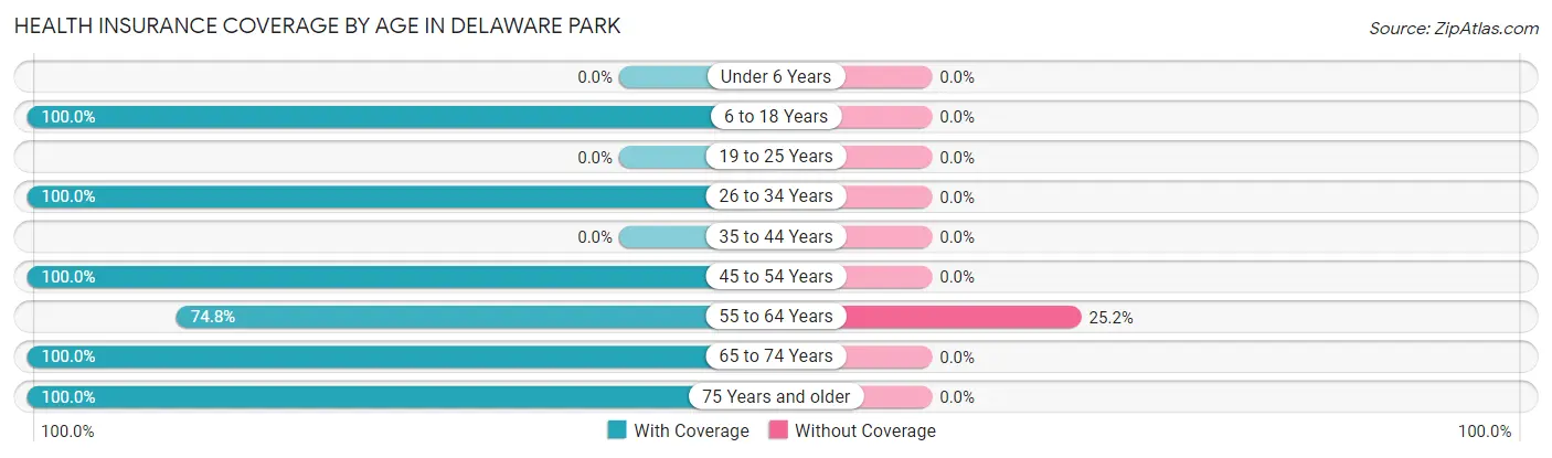 Health Insurance Coverage by Age in Delaware Park