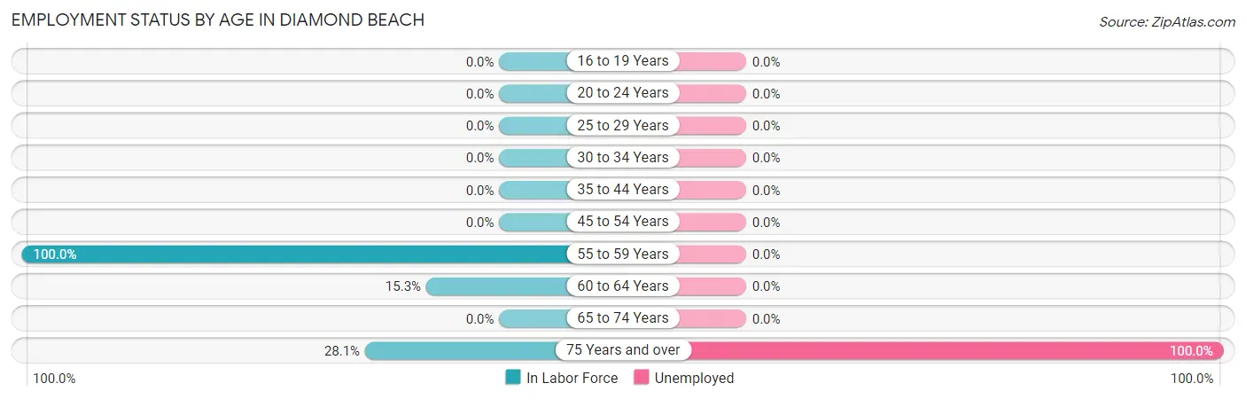 Employment Status by Age in Diamond Beach