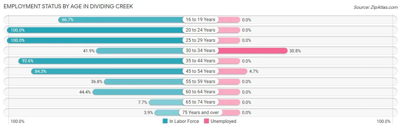 Employment Status by Age in Dividing Creek